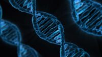 Errato test del DNA ed estensione dei danni risarcibili