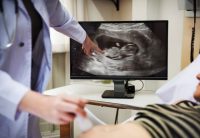 Linee Guida e diligenza del professionista: quando si può dare di più