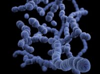 Infezione nosocomiale da staphylococcus aureus ed obblighi della struttura sanitaria