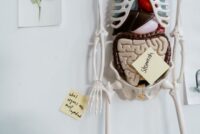 Doveri del medico endoscopista e colpa professionale in caso di cooperazione multidisciplinare in esami ad alto rischio