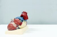 La gestione dei dispositivi RMN compatibili: il punto di vista del giurisperito