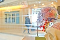 Responsabilità penale in caso di omissione di approfondimenti diagnostici dovuti