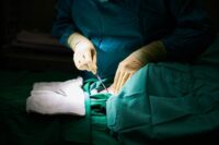 Clausole contrattuali di manleva della responsabilità tra struttura e medico: sono valide?